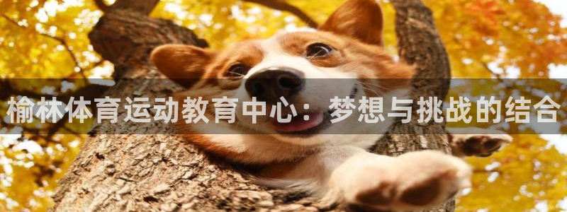 bbin视讯下：榆林体育运动教育中心：梦想与挑战的结合