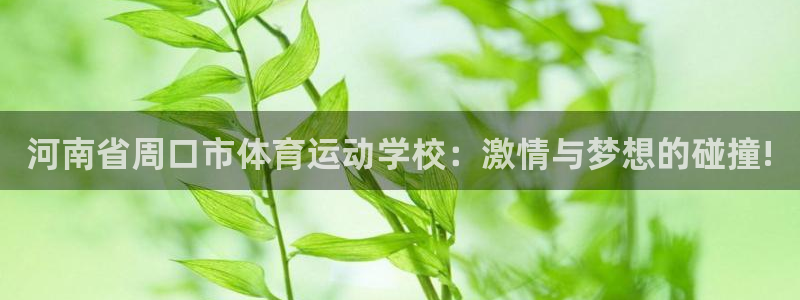 bbin视讯游戏平台：河南省周口市体育运动学校：激情与梦想的碰撞!