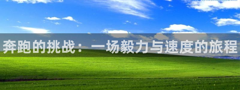 bbin视讯游戏平台：奔跑的挑战：一场毅力与速度的旅程