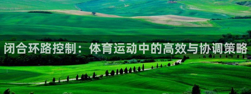 bbin视讯游戏官网：闭合环路控制：体育运动中的高效与协调策略