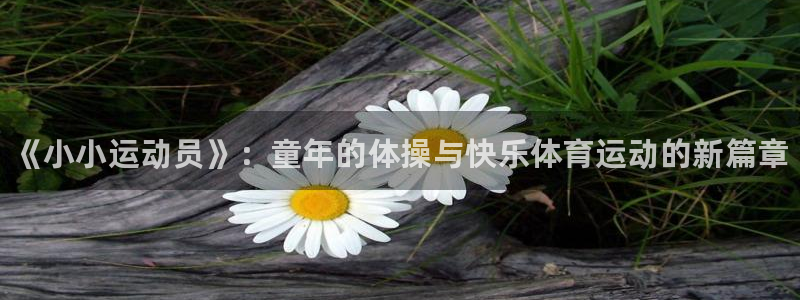 bbin视讯游戏官网：《小小运动员》：童年的体操与快乐体育运动的新篇章