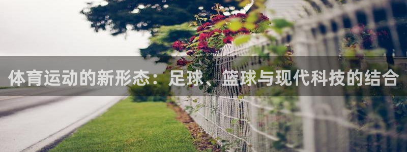 bbin视讯下：体育运动的新形态：足球、篮球与现代科技的结合