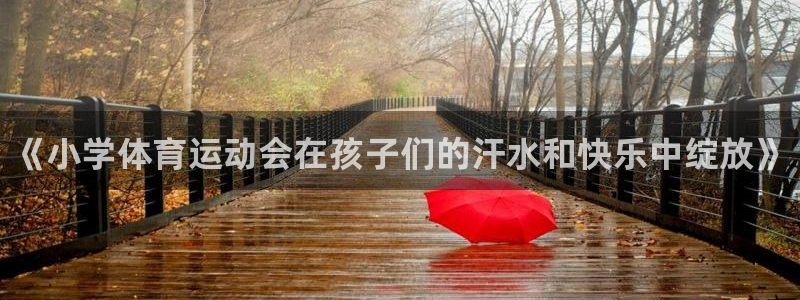 bbin视讯游戏官网：《小学体育运动会在孩子们的汗水和快乐中绽放》