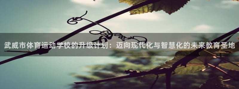 bbin视讯下：武威市体育运动学校的升级计划：迈向现代化与智慧化的未来教育圣地