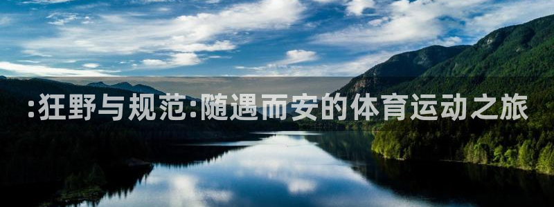 bbin视讯下：:狂野与规范:随遇而安的体育运动之旅