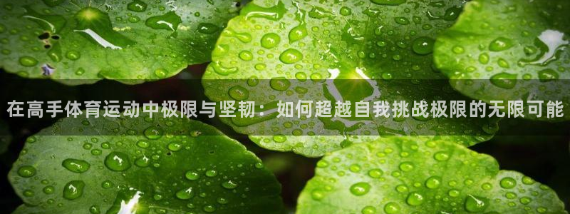 bbin视讯游戏平台：在高手体育运动中极限与坚韧：如何超越自我挑战极限的无限可能